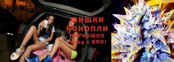 дживик Бикин