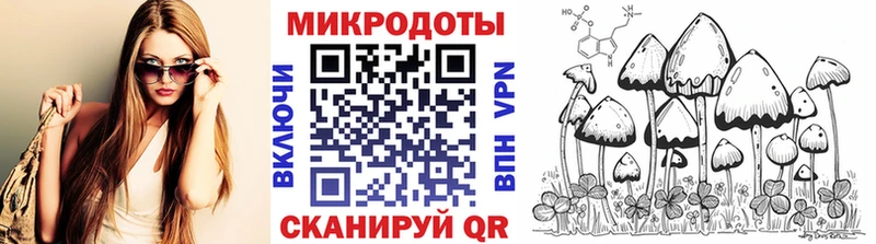 Галлюциногенные грибы Cubensis  Пустошка 